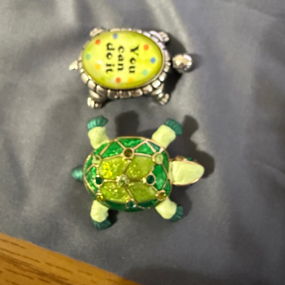 Green and Yellow Turtle Brooch Set